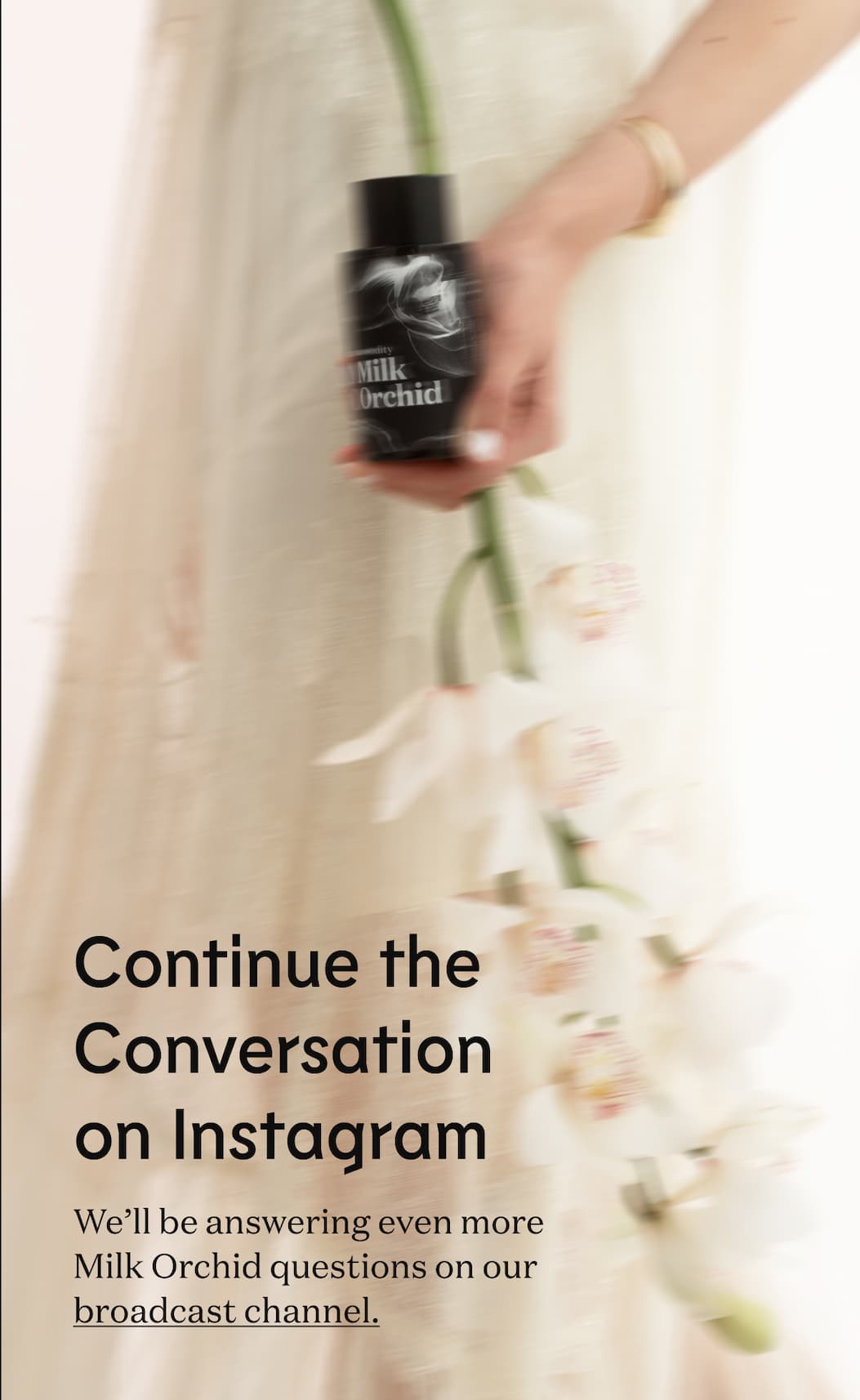  Continue the Conversation on Instagram. We’ll be answering even more Milk Orchid questions on our broadcast channel.