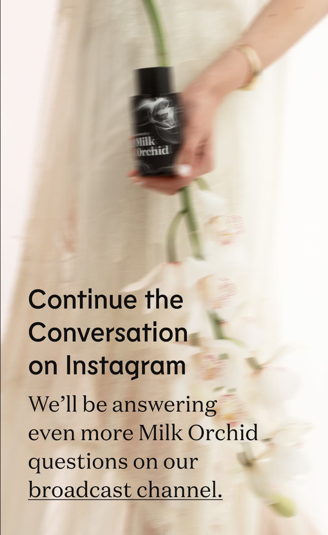  Continue the Conversation on Instagram. We’ll be answering even more Milk Orchid questions on our broadcast channel.