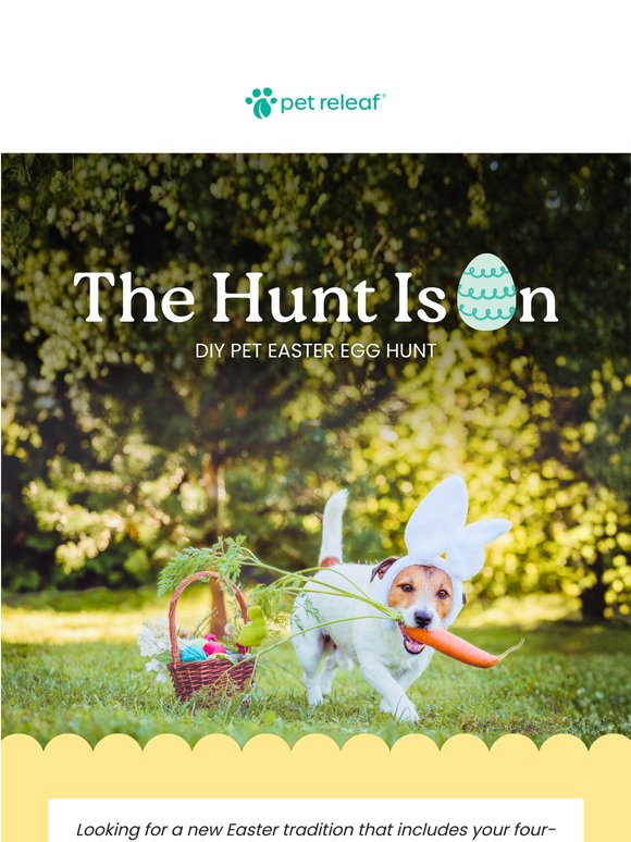 Target Dog Easter Pet Releaf: The Easter tradition your dog will love 🩷🐥 | Milled