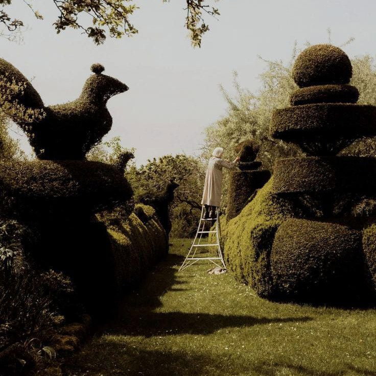 THE BEST GARDEN CENTRES