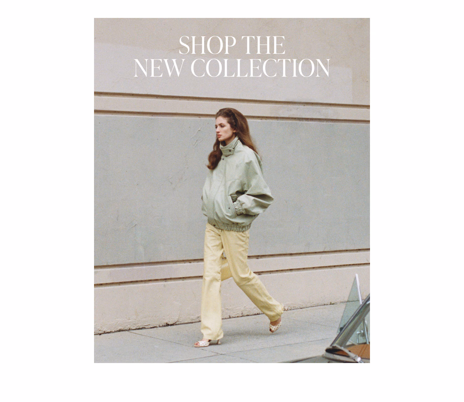 Shop the Collection