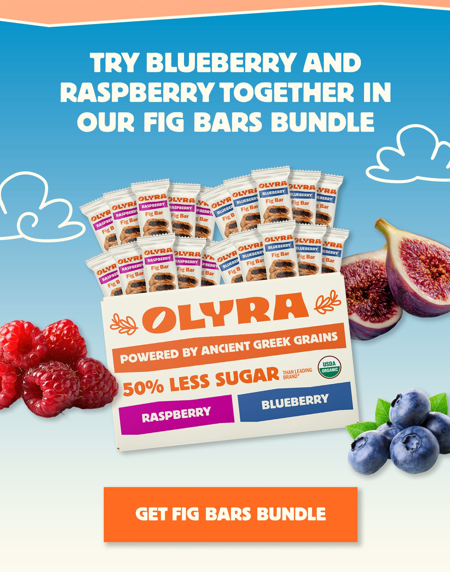 You can shop fig bars now in our fig bar bundle that features raspberry and blueberry fig bars. Shop fig bars now!