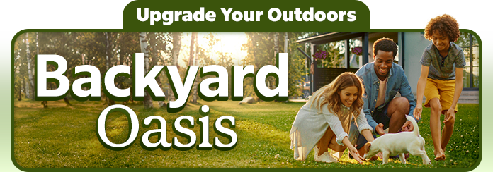 Backyard Oasis