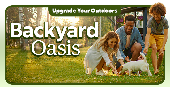 Backyard Oasis