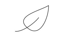 Leaf icon.