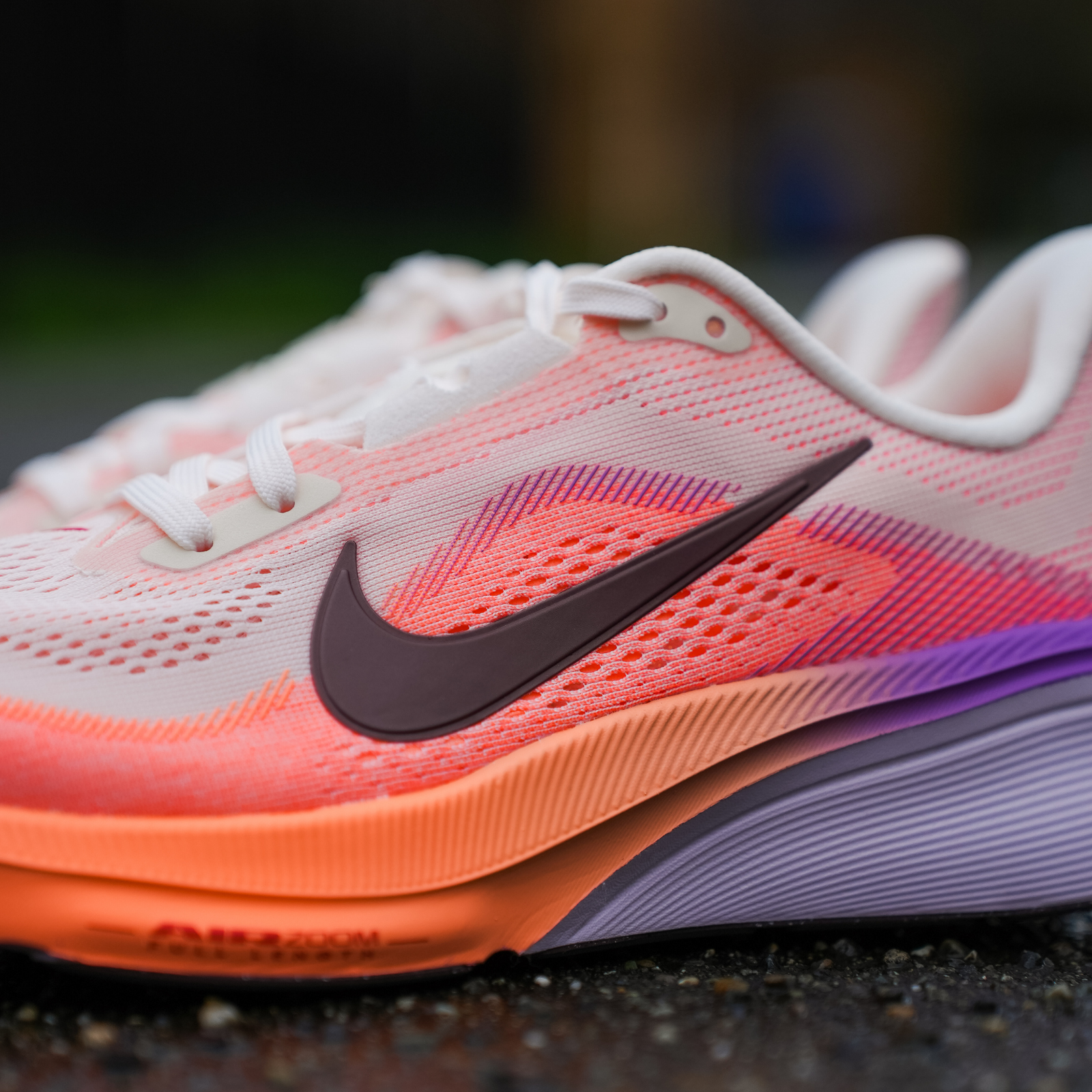 Nike Pegasus 42