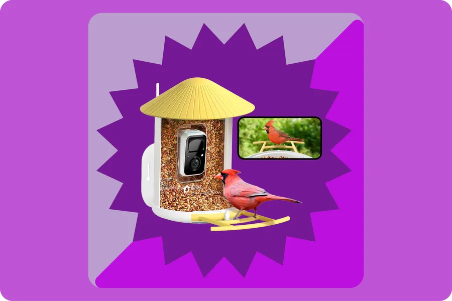 Our (and Amy Tan’s) Favorite Smart Bird Feeder Is $100 Today