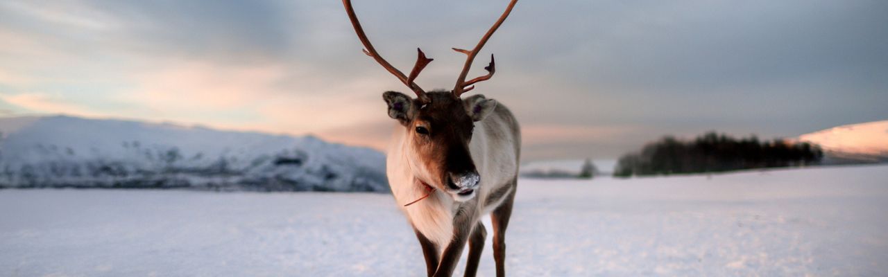 nordland