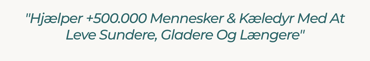 Hjælper +500.000 Mennesker & Kæledyr Med At Leve Sundere, Gladere Og Længere