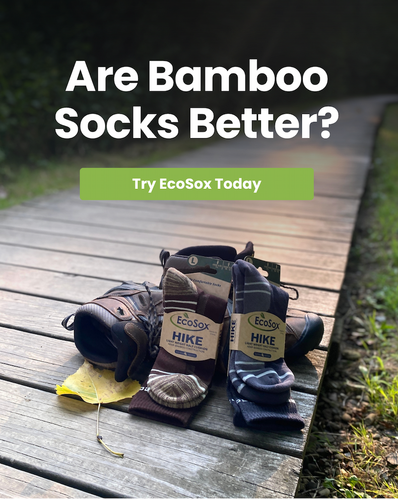 Are Bamboo Socks Better?