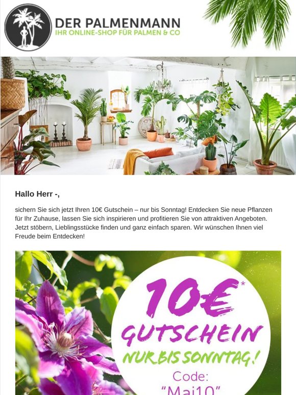 was kosten eiben Eibe (30 - 50 cm) als kräftige Wurzelware main image 1