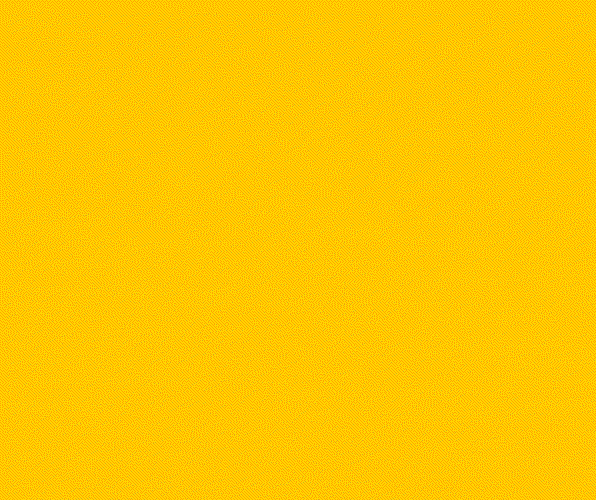 25% di sconto su tutto!