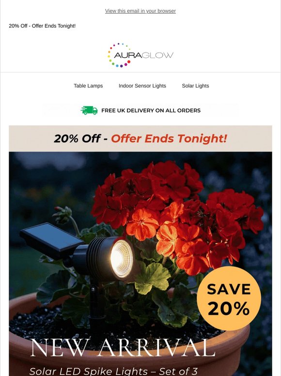 Last Chance to Save 20% - Final Hours Remaining!