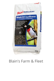 Product Recommendation 1