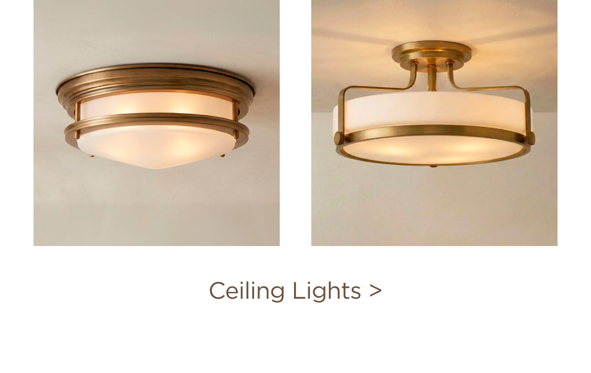 Ceiling Lights >