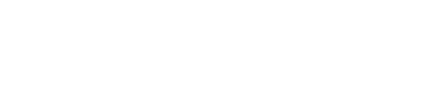 Feathered Friends Mountain Logo