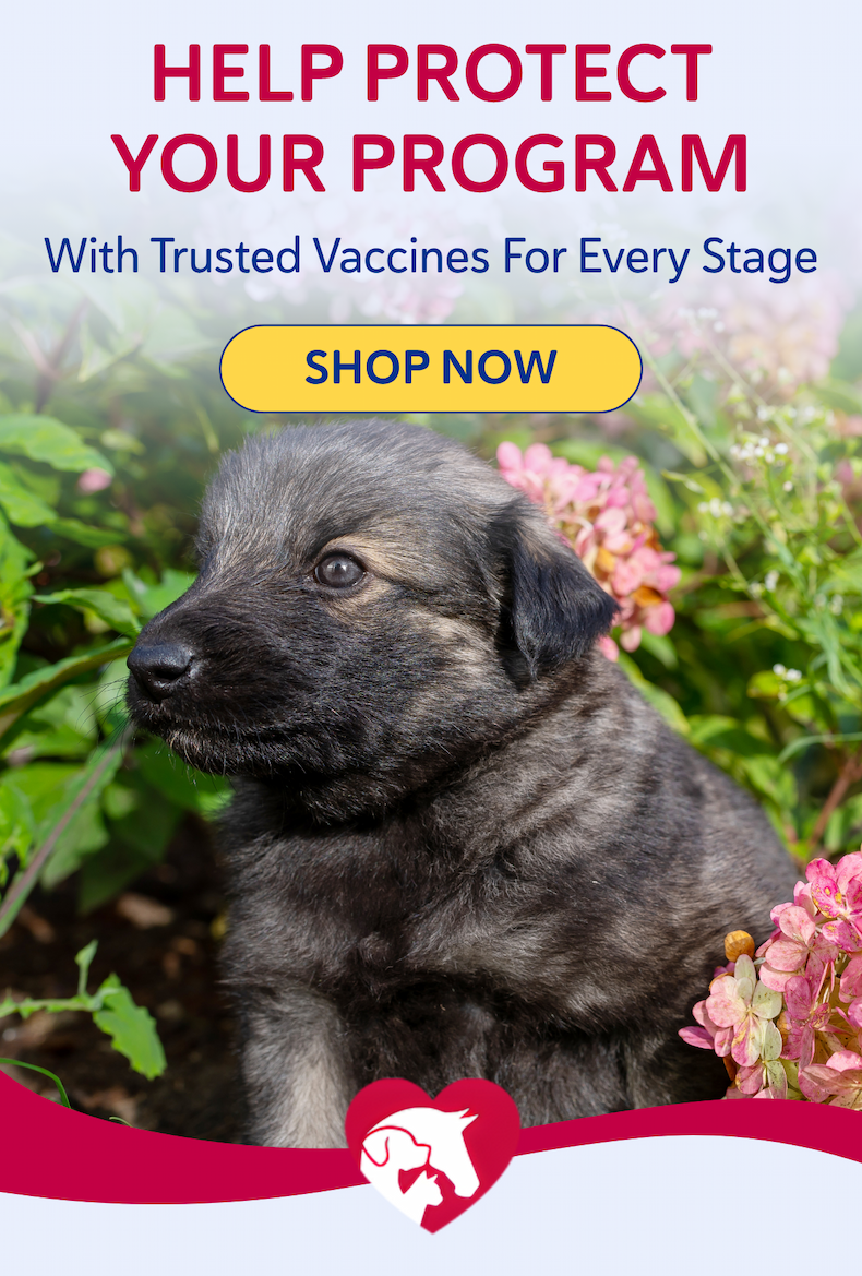 Help protect your program with trusted vaccines for every stage- SHOP NOW