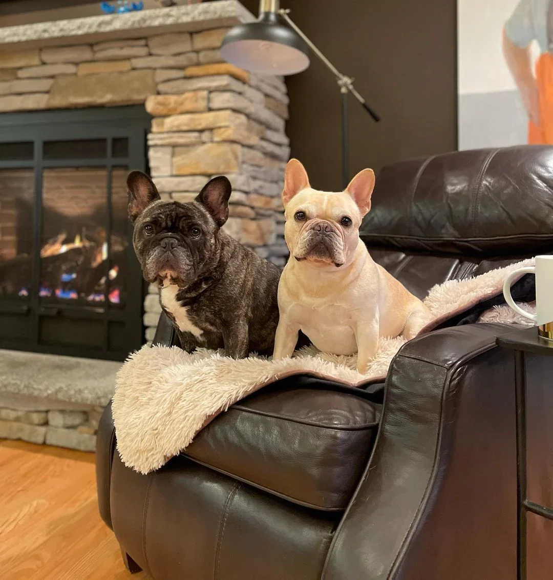 Image of PawProof Throw Blanket