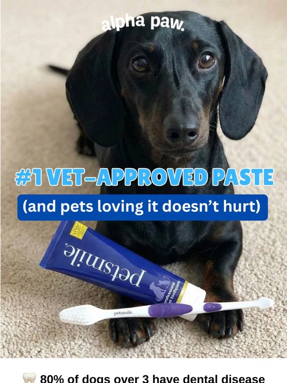 🐶 NEW! The only toothpaste accepted by vet dentists