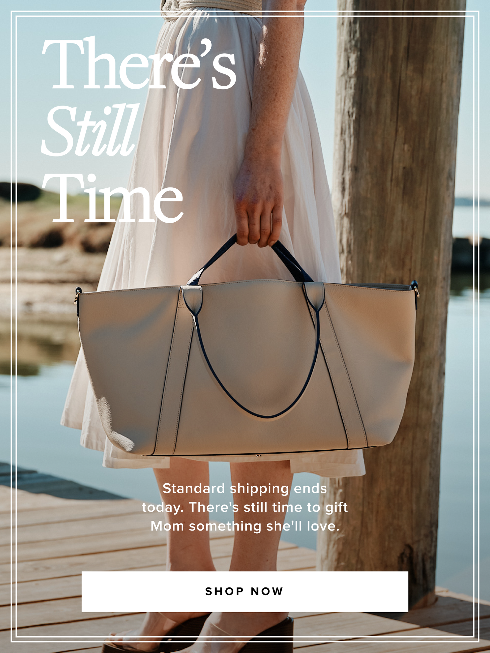 Shop Now >