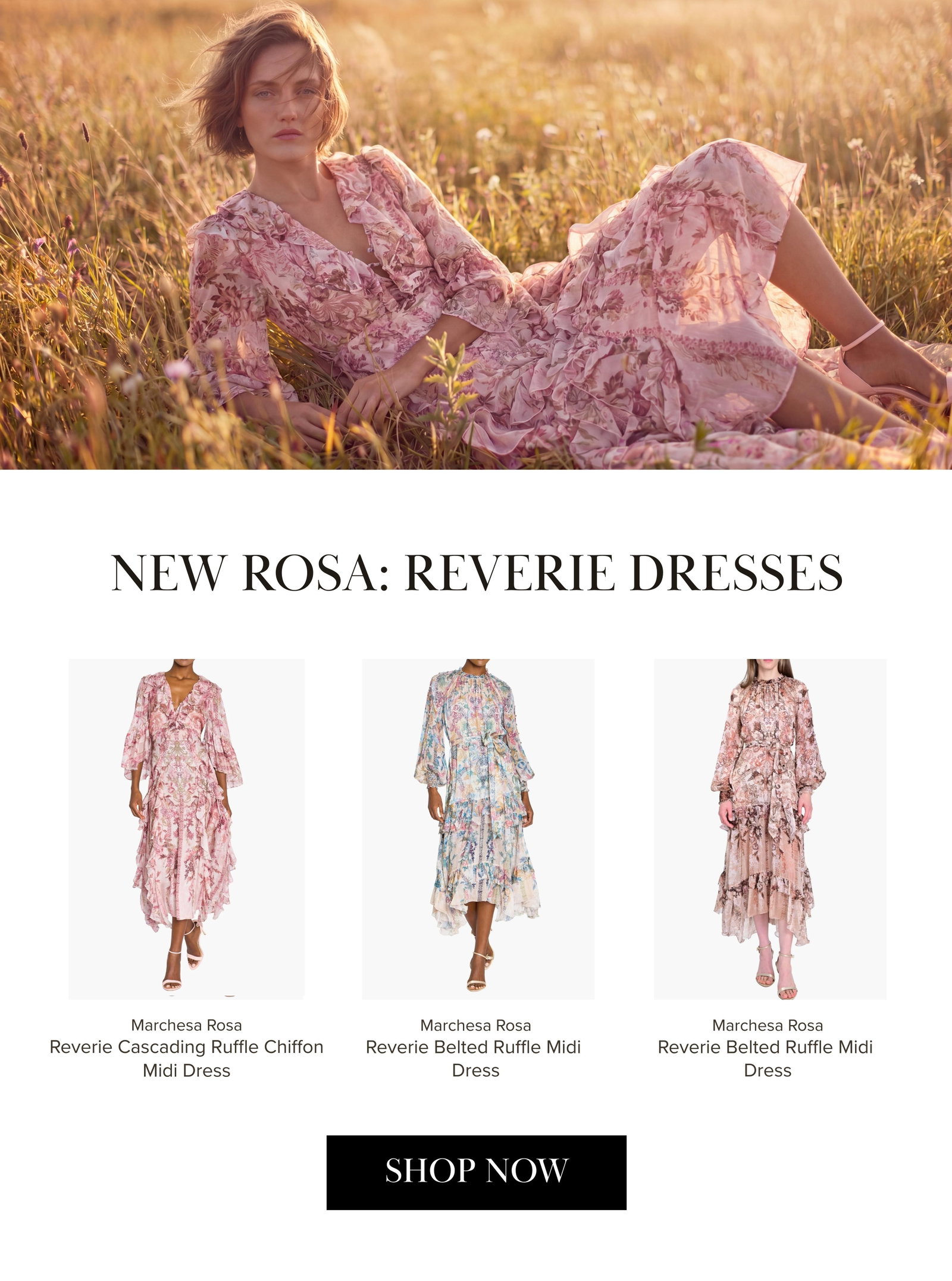 New Reverie