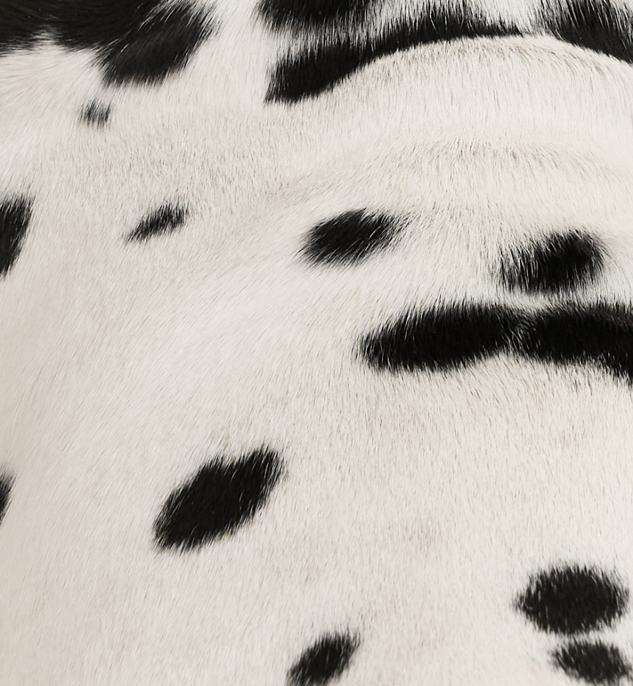 Polka muse