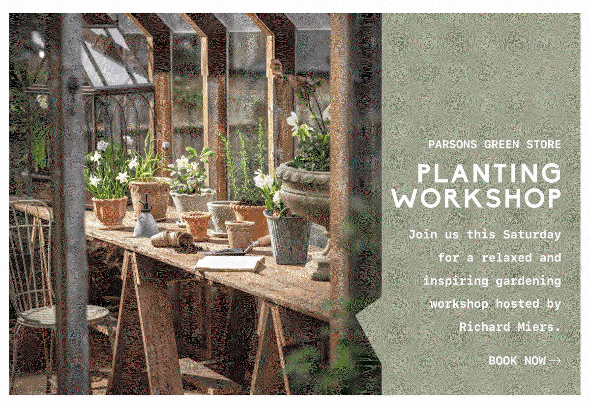 Planting Workshop with Richard Miers