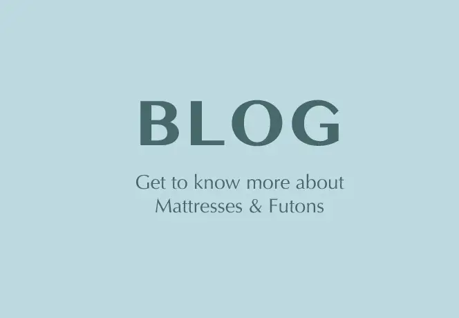 blog