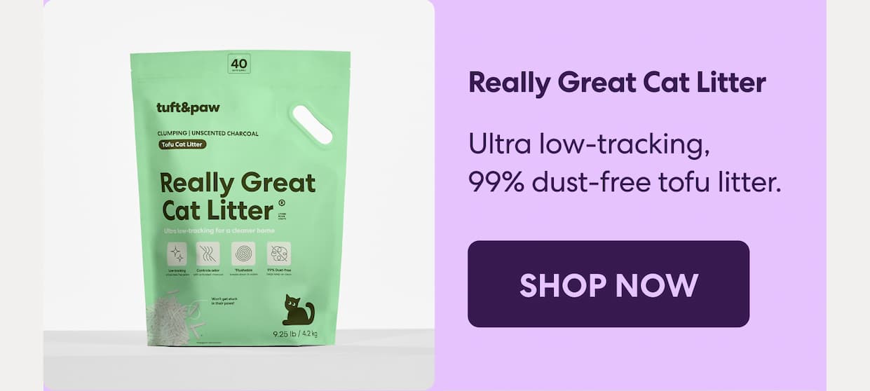Really Great Cat Litter