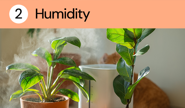 Humidity