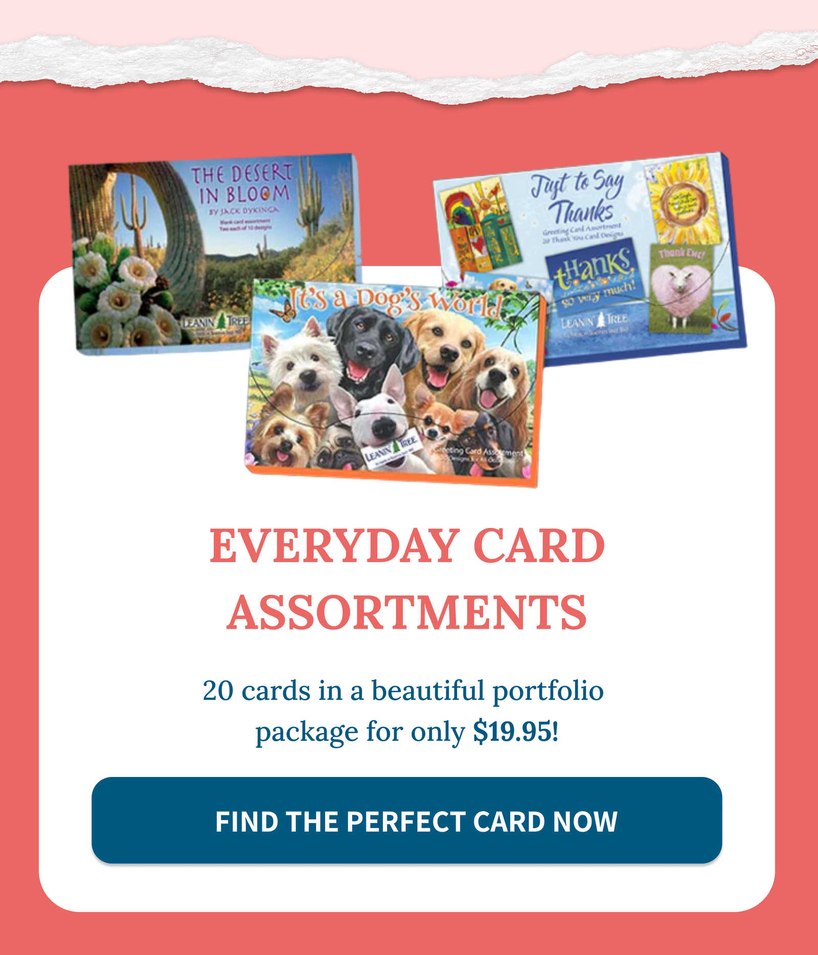 Find The Perfect Card Now
