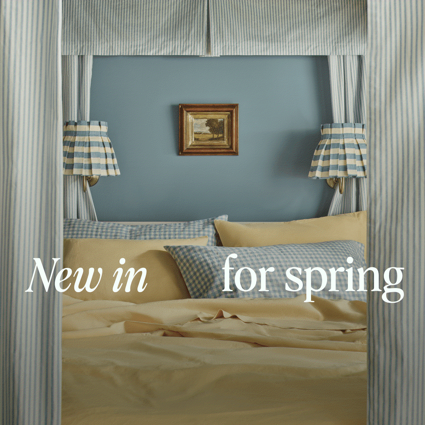 New in for spring