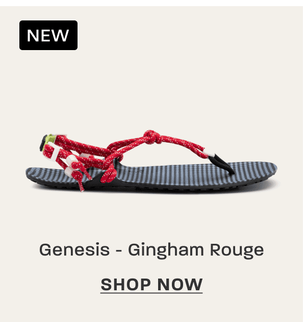 Genesis - Gingham Rouge