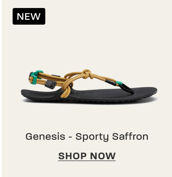 Genesis - Sporty Saffron