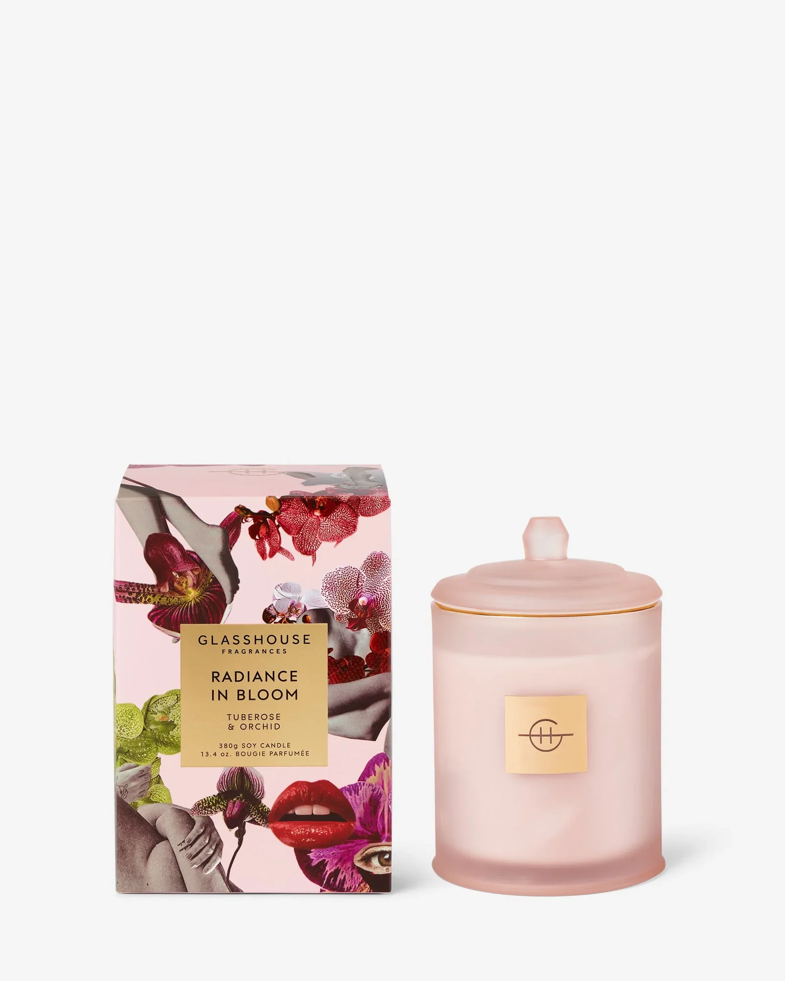 Image of RADIANCE IN BLOOM