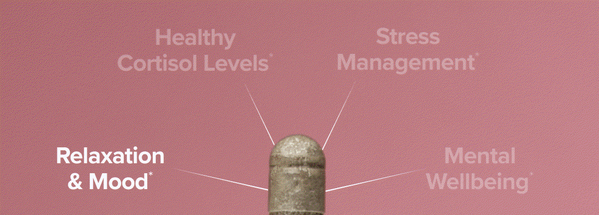 Clinical doses of Sensoril Ashwagandha, L-Theanine & St. John's Wort help with: Healthy Cortisol levels*, relaxation & mood*, Stress management*, mental wellbeing*