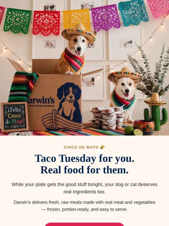 Taco Tuesday for you. 🌮 Real food for them