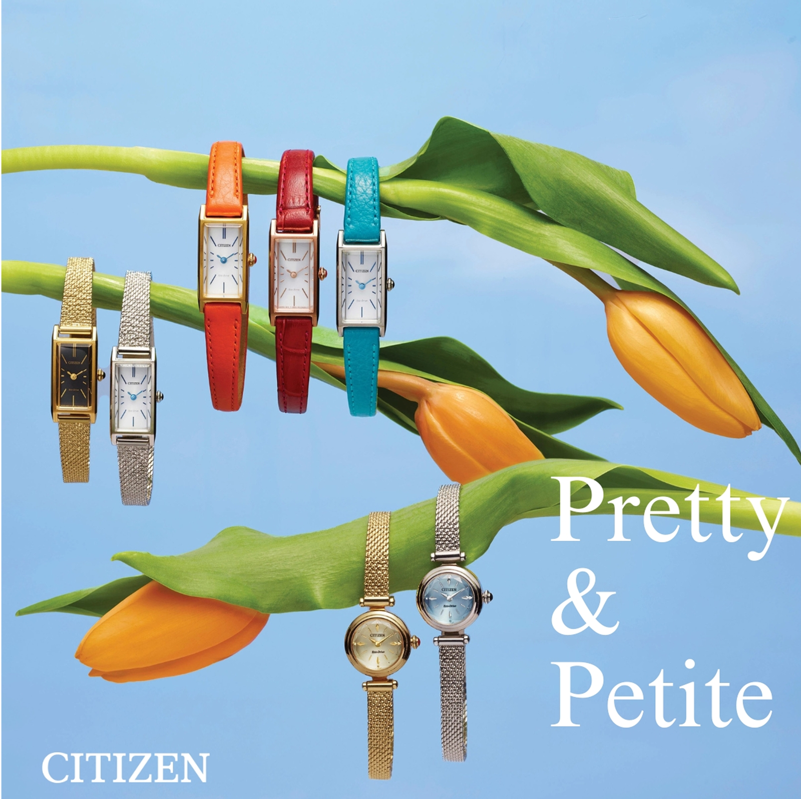 Watches Collections