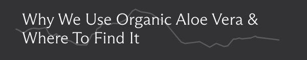 Why We Use Organic Aloe Vera & Where To Find It