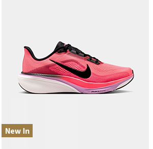 Pegasus 42 Shoes