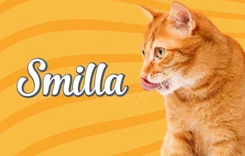 Smilla