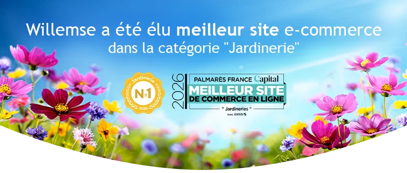 Willemse France n°1
