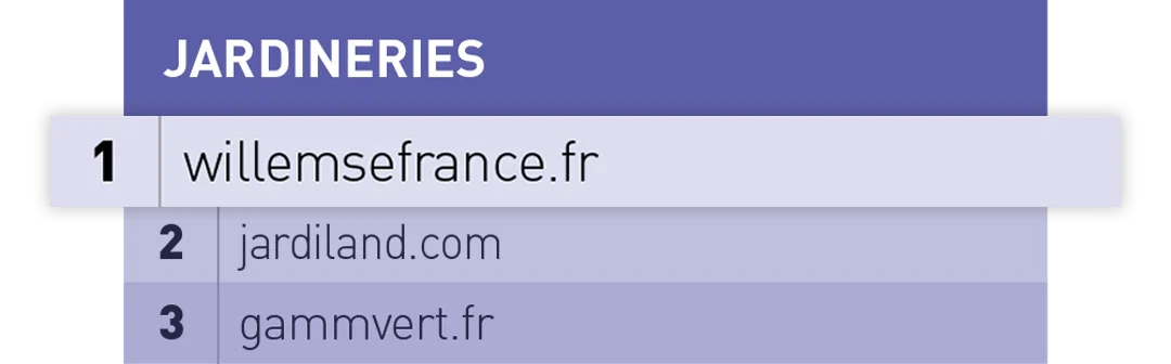Willemse France n°1 chez CAPITAL