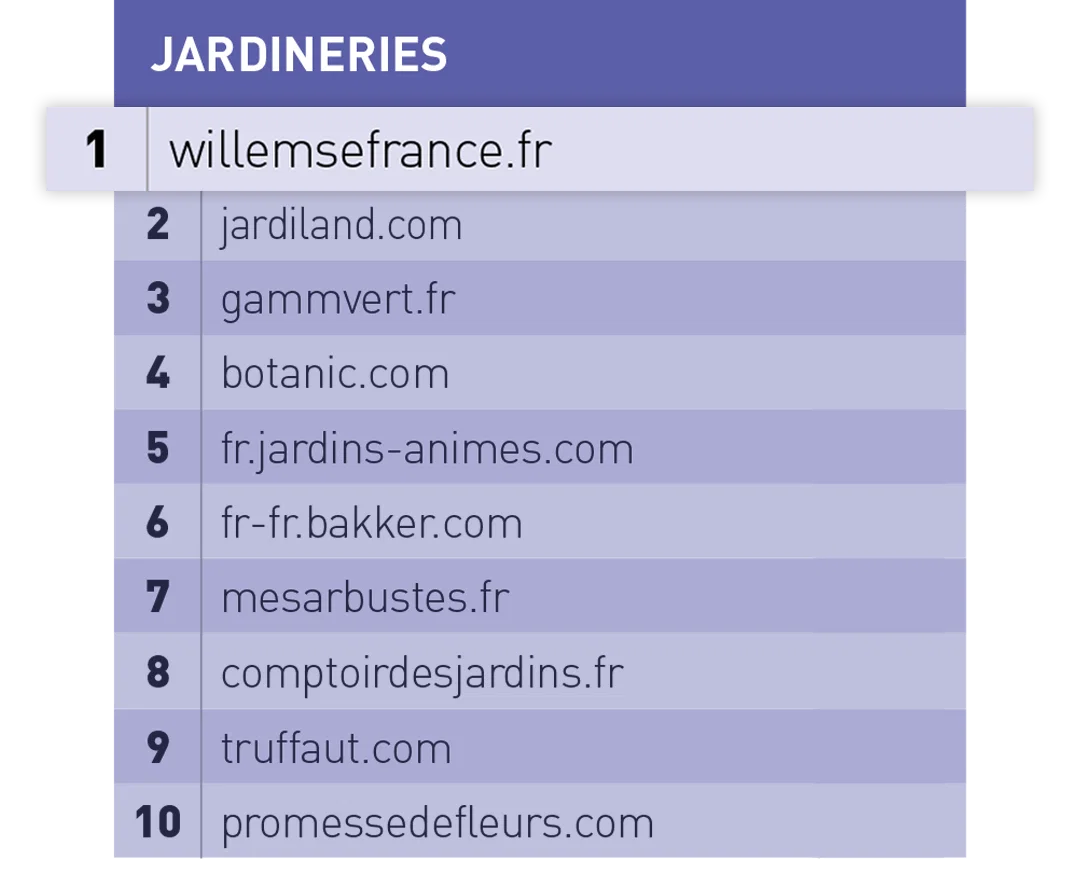 Willemse France n°1 chez CAPITAL