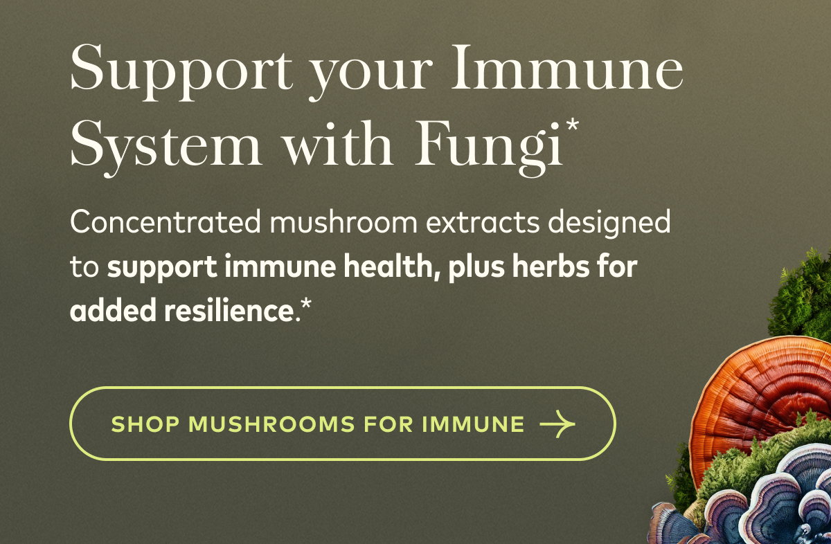 Support Your Immune System with Mushrooms