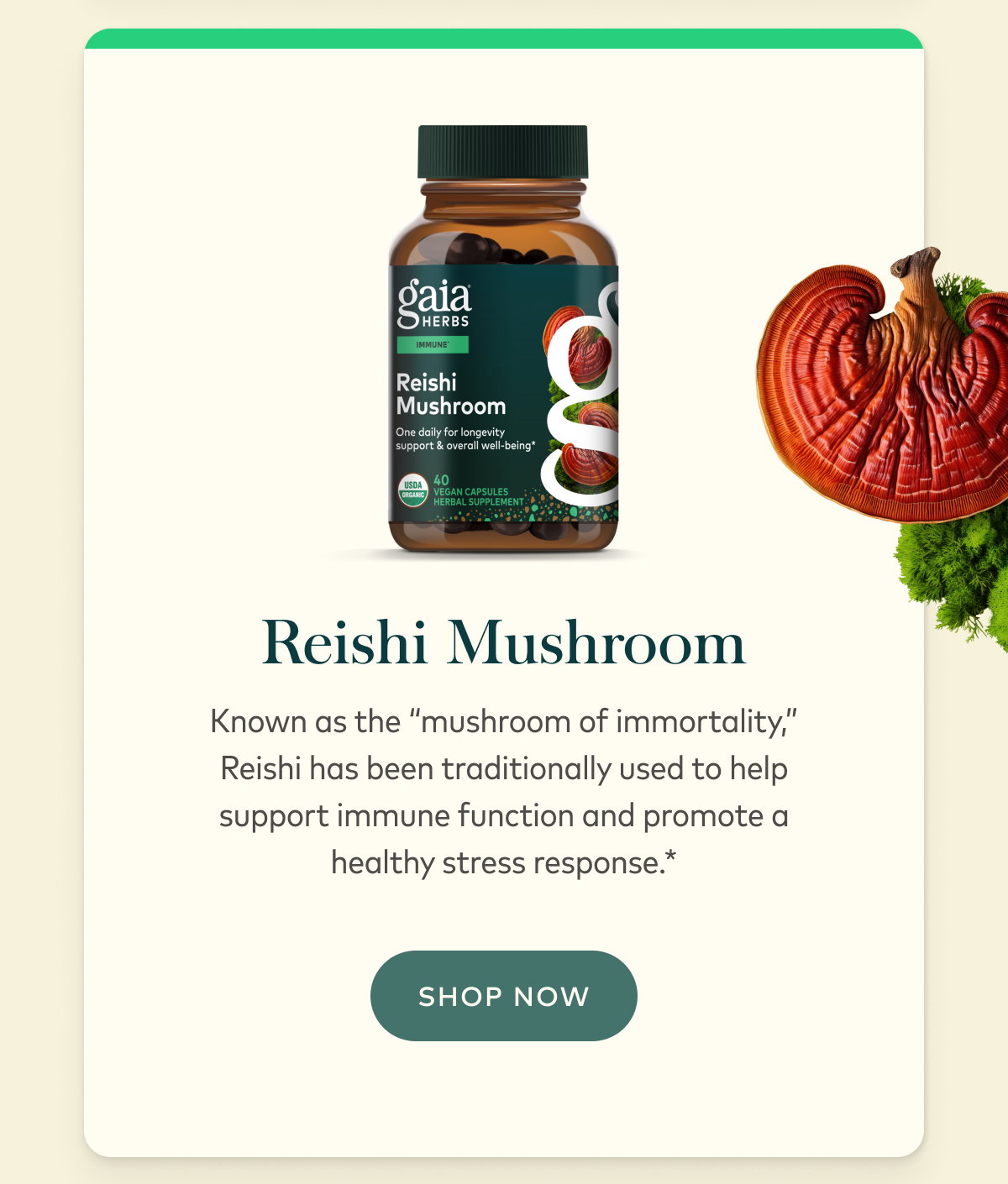 Reishi Mushroom