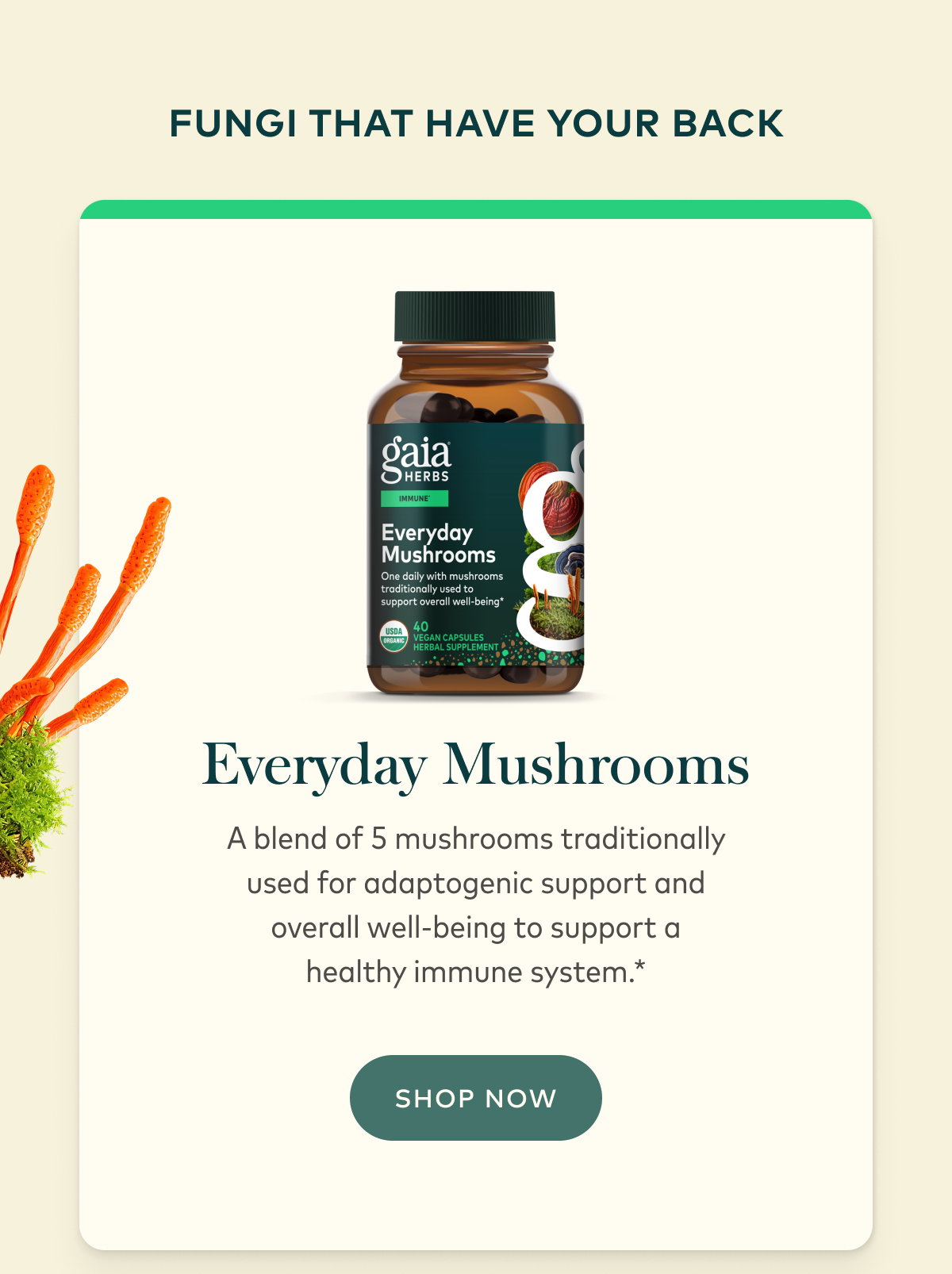 Everyday Mushrooms