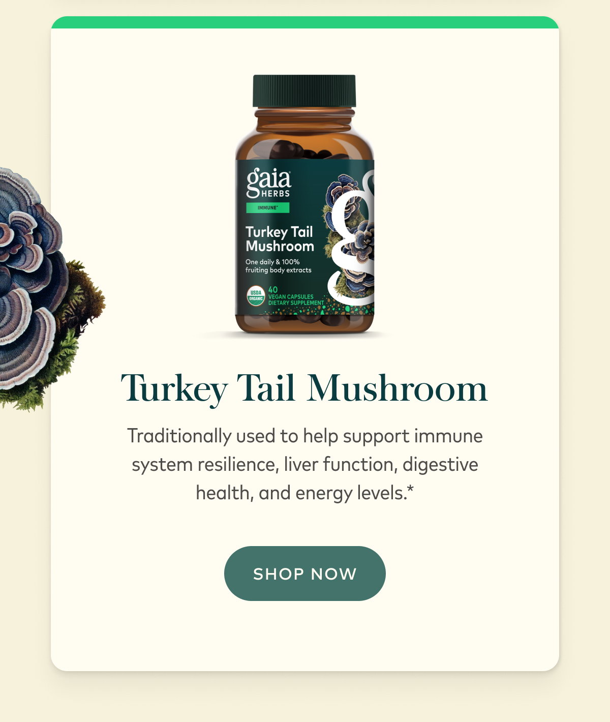 Turkey Tail Mushroom