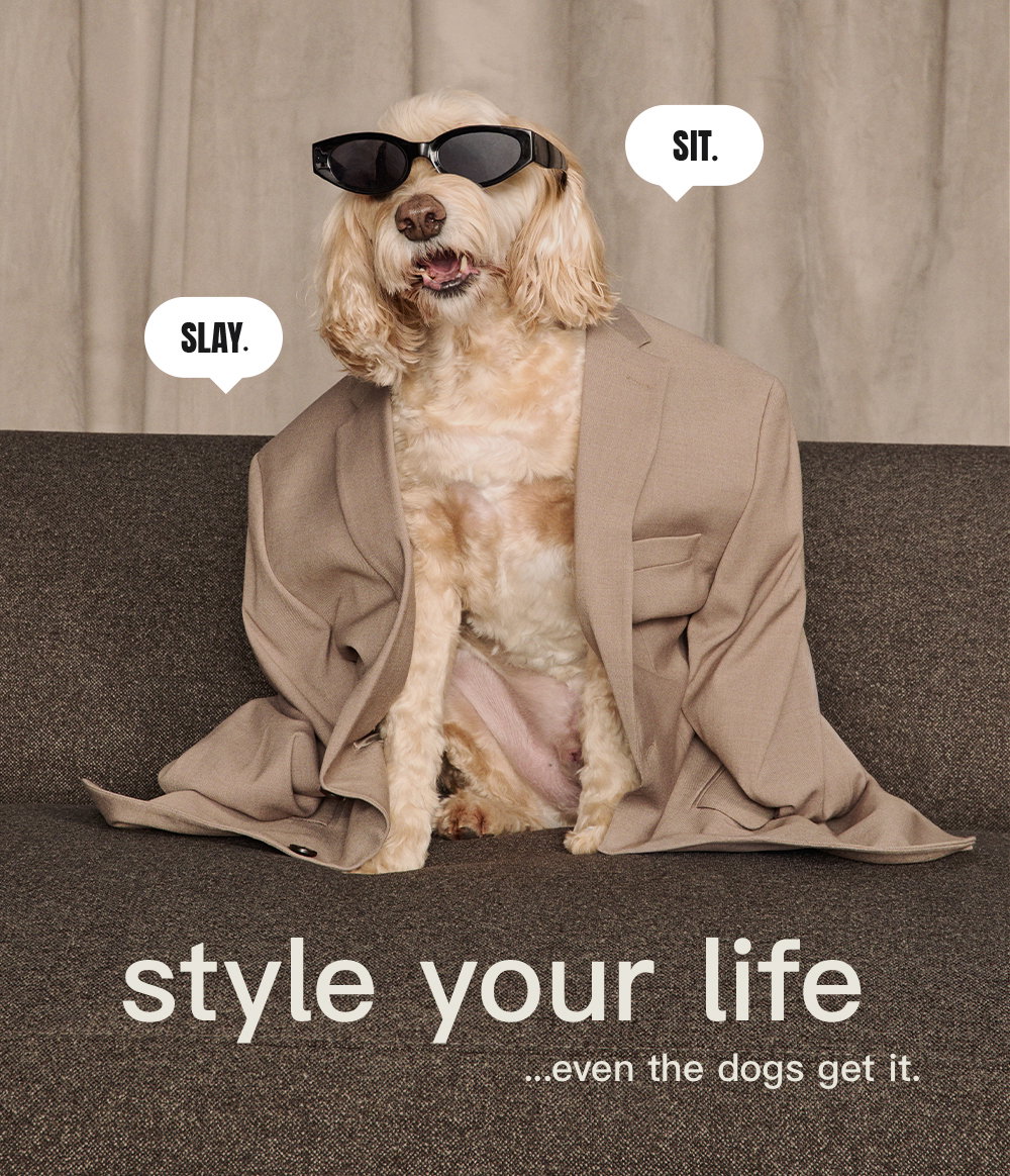 Sit. Slay. Style your life...even the dogs get it. 