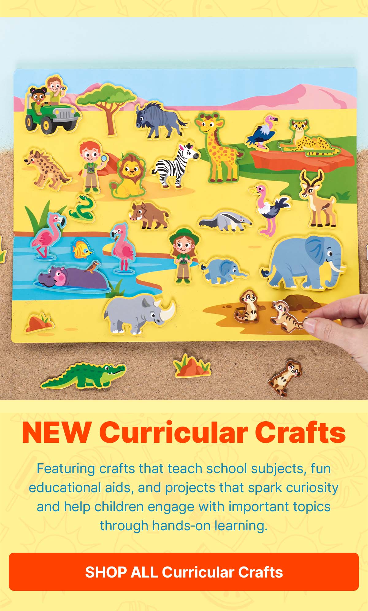 Curricular